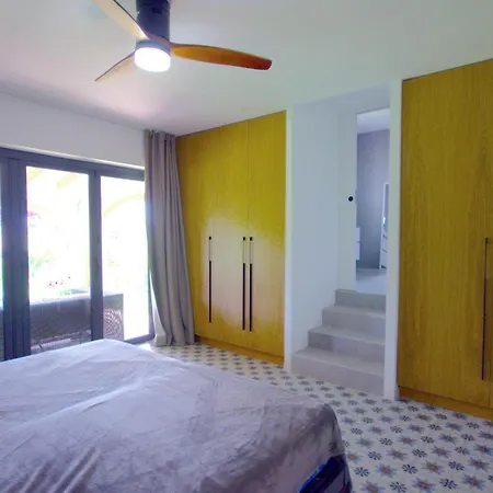 Gallo Javea