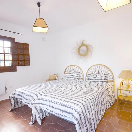 Gallo Javea