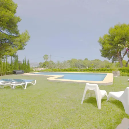 Gallo Javea