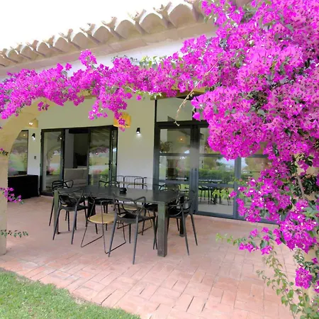Gallo Javea
